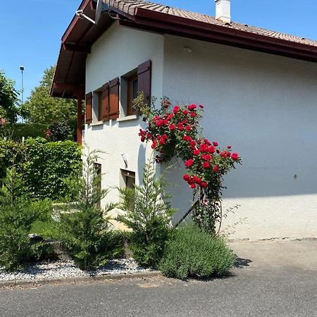 Apartmán Chez Patrick Et Dominique Saint-Pierre-en-Faucigny Exteriér fotografie