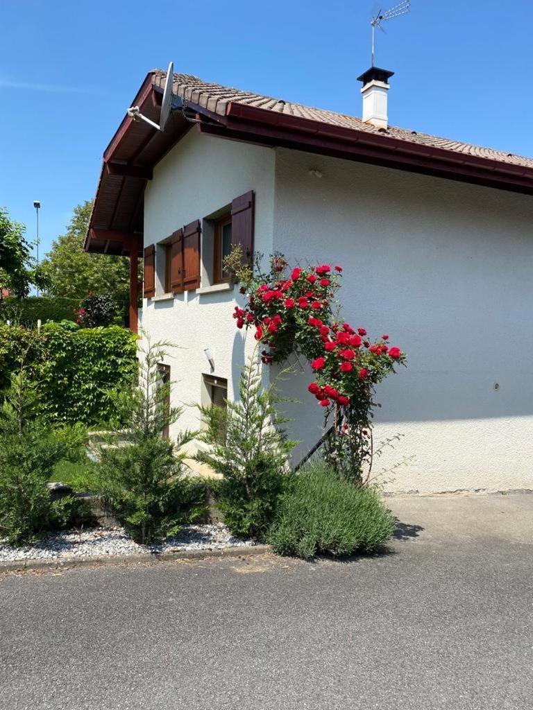 Apartmán Chez Patrick Et Dominique Saint-Pierre-en-Faucigny Exteriér fotografie