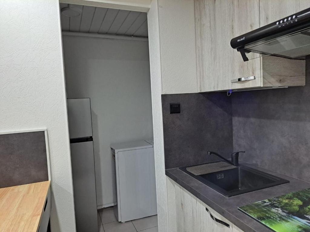 Apartmán Chez Patrick Et Dominique Saint-Pierre-en-Faucigny Exteriér fotografie